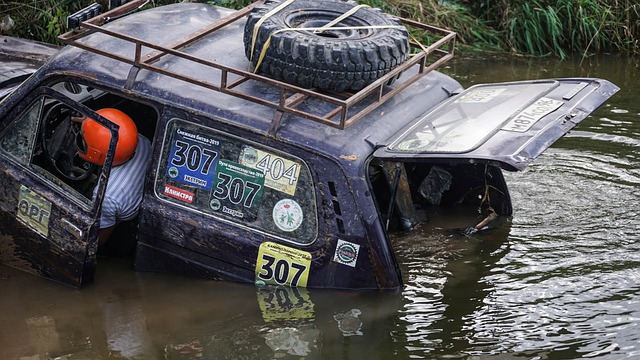 域本是城市 域本是城市
