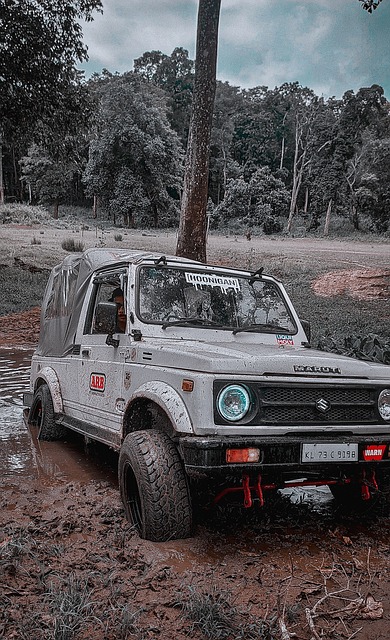 奠定了稳固 奠定了稳固