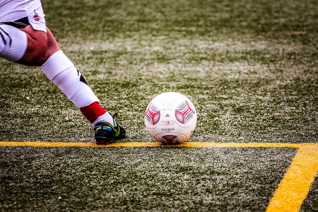 贡献了一粒 贡献了一粒