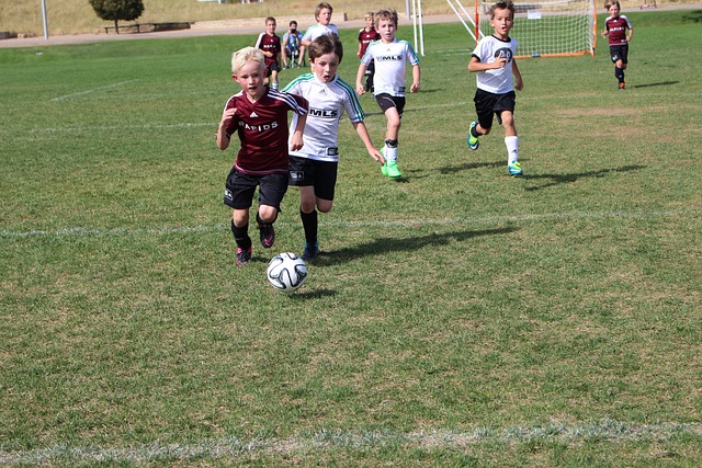 郑钦文展现 郑钦文展现