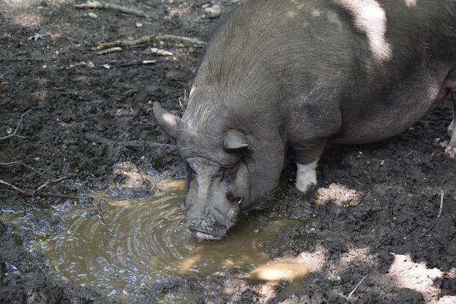 考古发现中 考古发现中