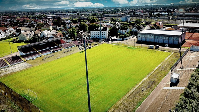 了全场最高 了全场最高