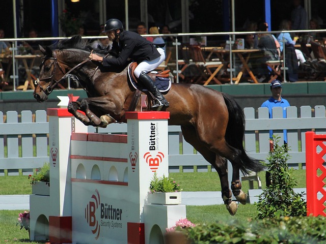 尼日利亚前 尼日利亚前
